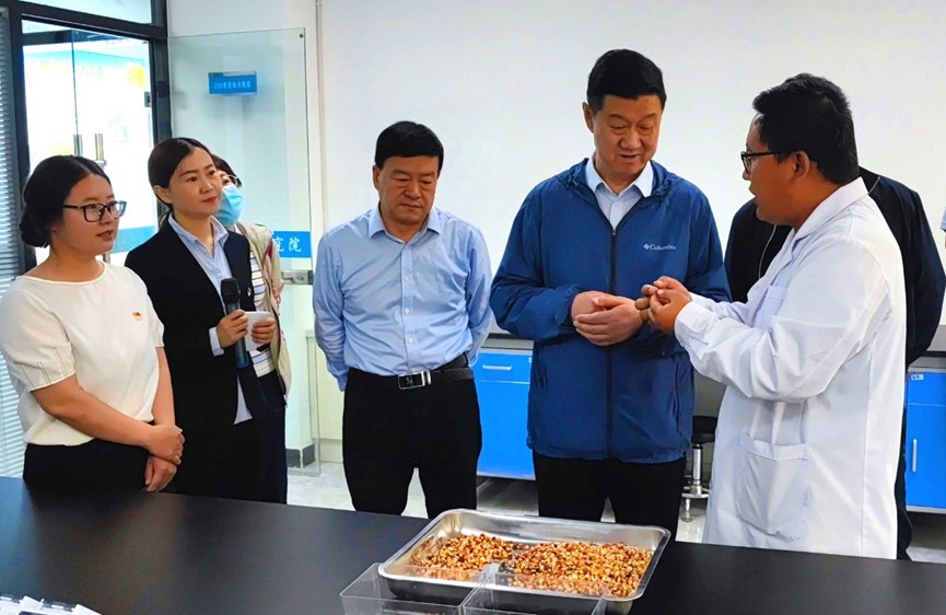 甘肅省地方金融監(jiān)管局、甘肅證監(jiān)局領導蒞臨敦煌種業(yè)調研指導